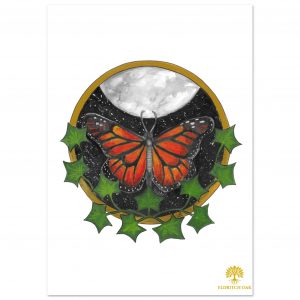 46471681-7b2e-4adf-aaf8-8bfc7bdaeae9